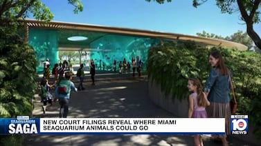 Oficiais de polícia de Miami Springs prendem 2 suspeitos de tráfico humano, resgatam criança pequena e sua mãe.